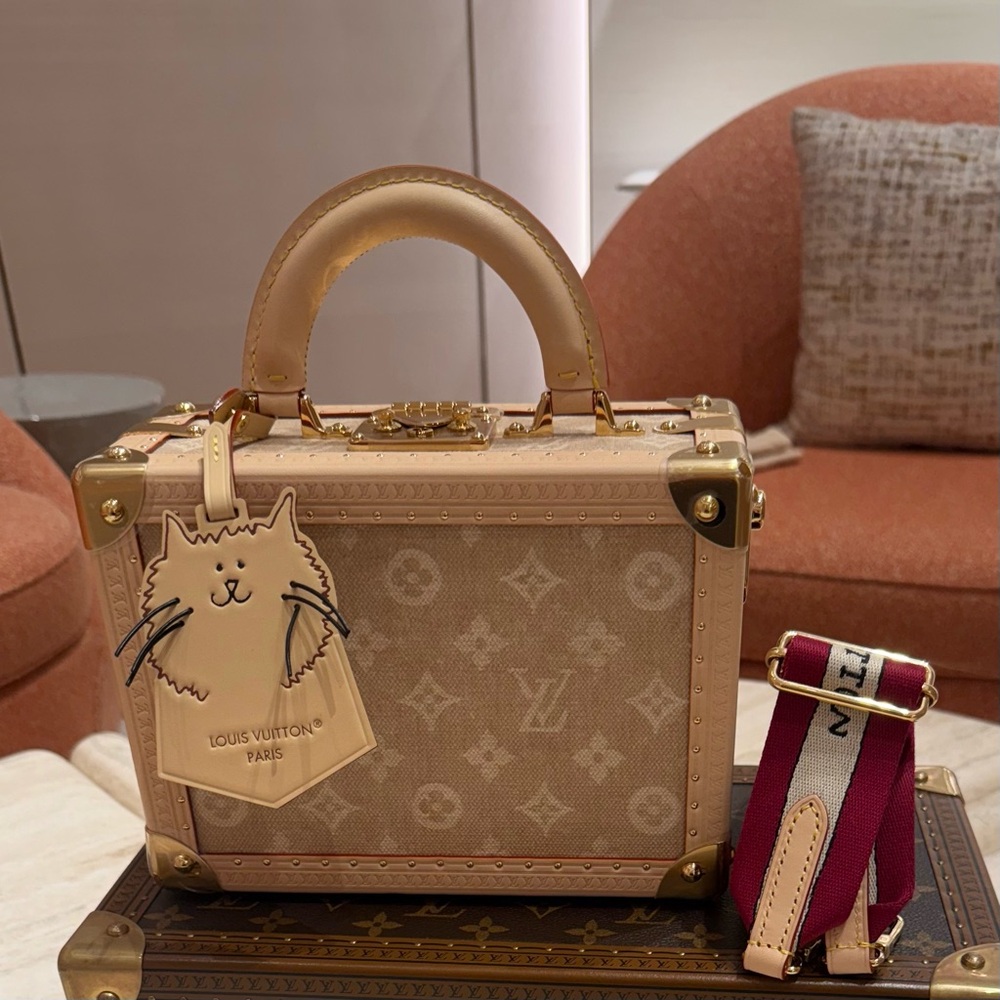 Louis Vuitton Grace Coddington Petite Valise - SOLD OUT AT LOUIS VUITTON!!